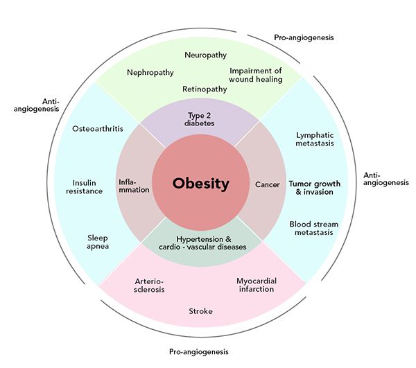 obesity table